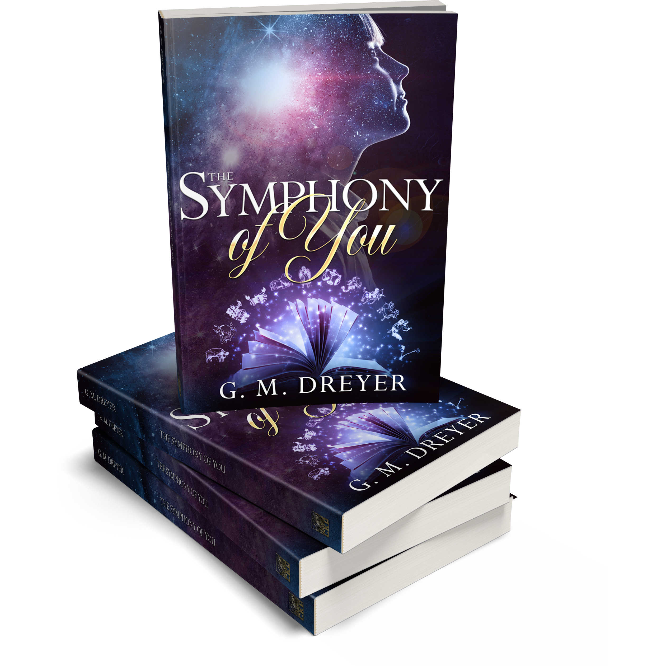 The Symphony of You (Paperback)